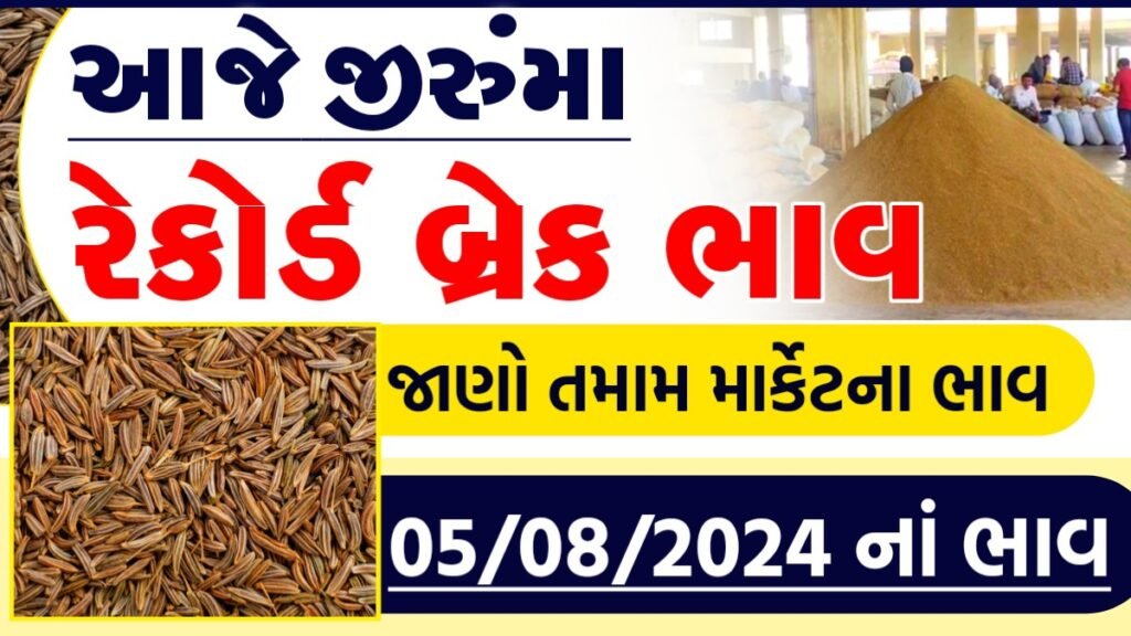 jiru price in gujarat