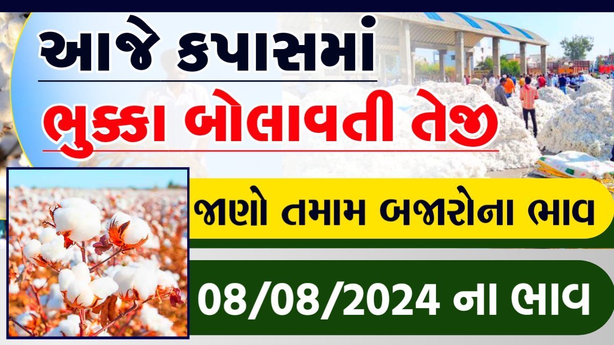 cotton price rajkot