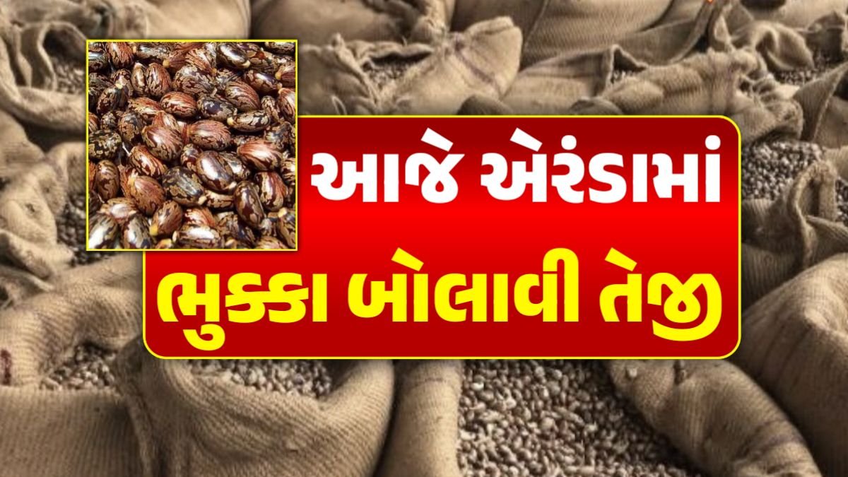 એરંડાના બજાર ભાવ