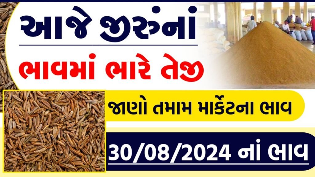 જીરું ના ભાવ આજે