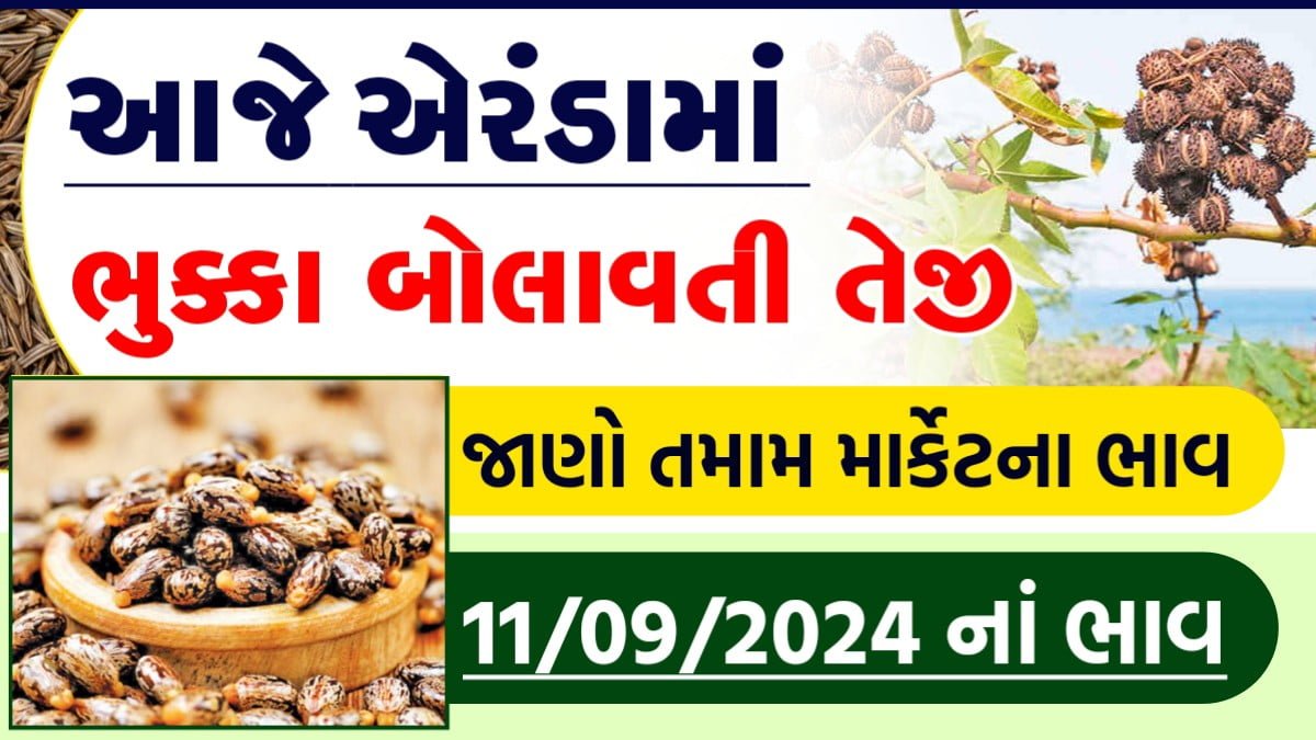 એરંડા