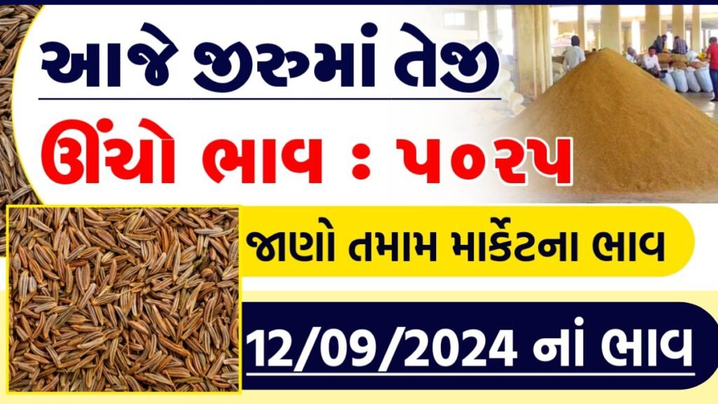 જીરું ના ભાવ