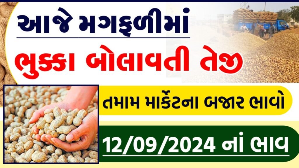 મગફળીના ભાવ 2024