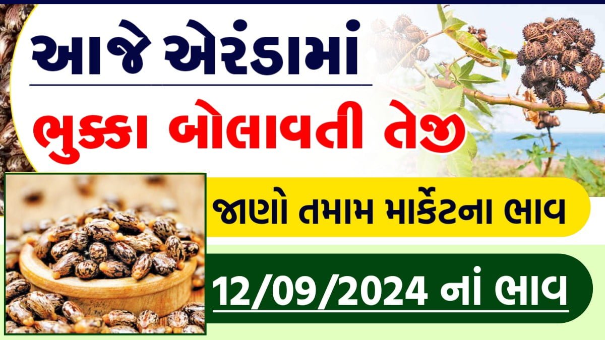 એરંડા ના ભાવ