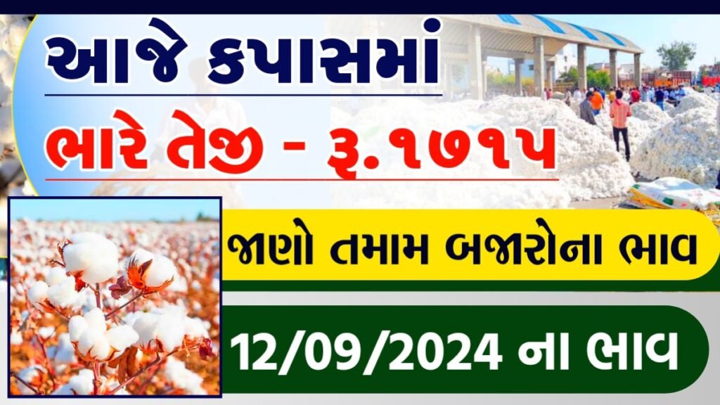 કપાસના ભાવ આજના