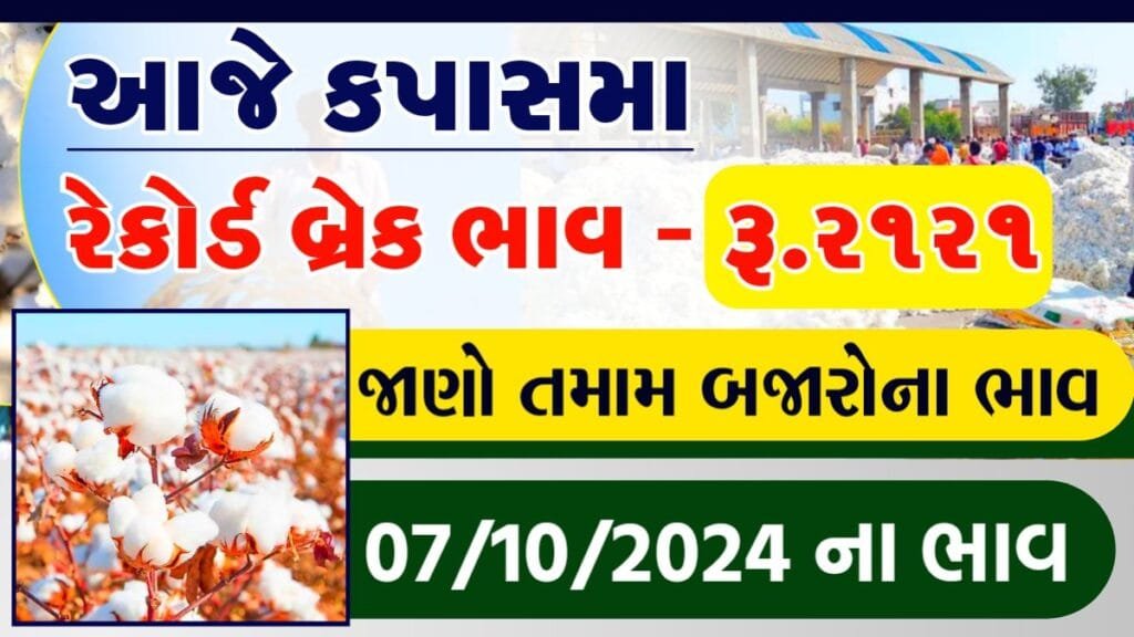 cotton price in gujarat