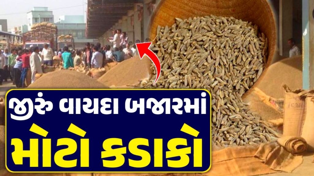 જીરું વાયદા