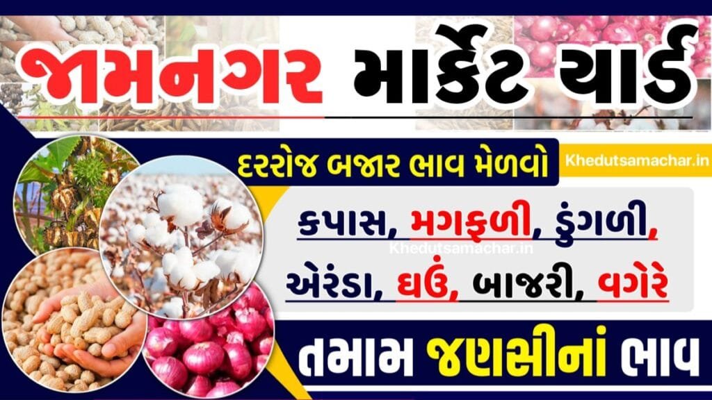 APMC Jamnagar Market Yard | જામનગર આજના બજાર ભાવ | Jamnagar APMC Bajar Bhav | Hapa aaj na bajar bhav