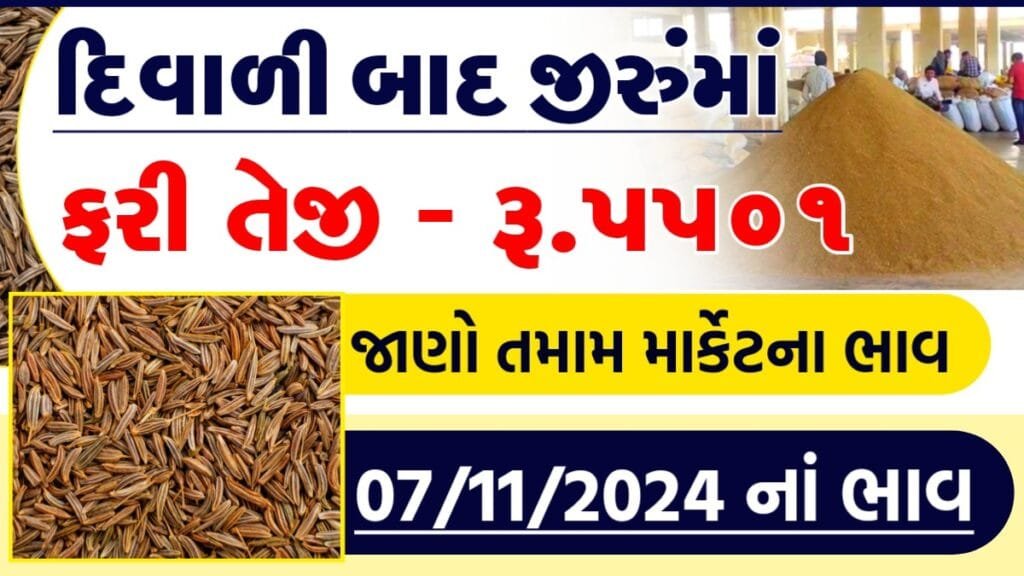 જીરું વાયદા 2024