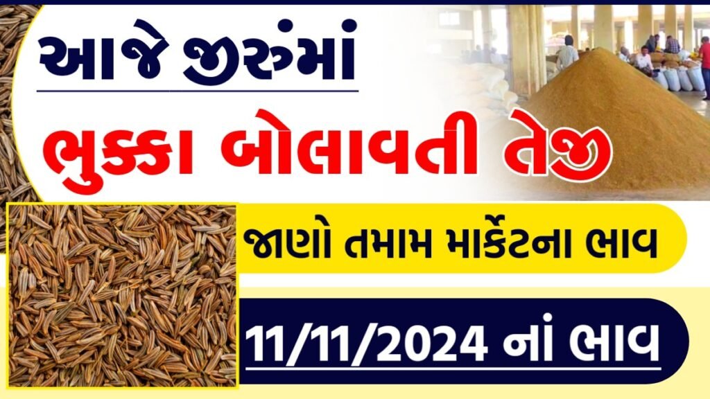 જીરું ના ભાવ