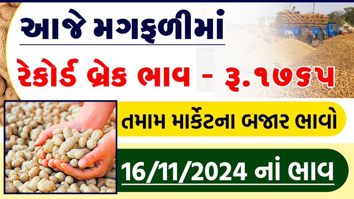 મગફળીના ભાવ આજે 2024