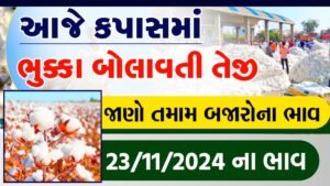 cotton price in rajkot