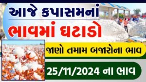 વાંકાનેરમાં કપાસના ભાવ