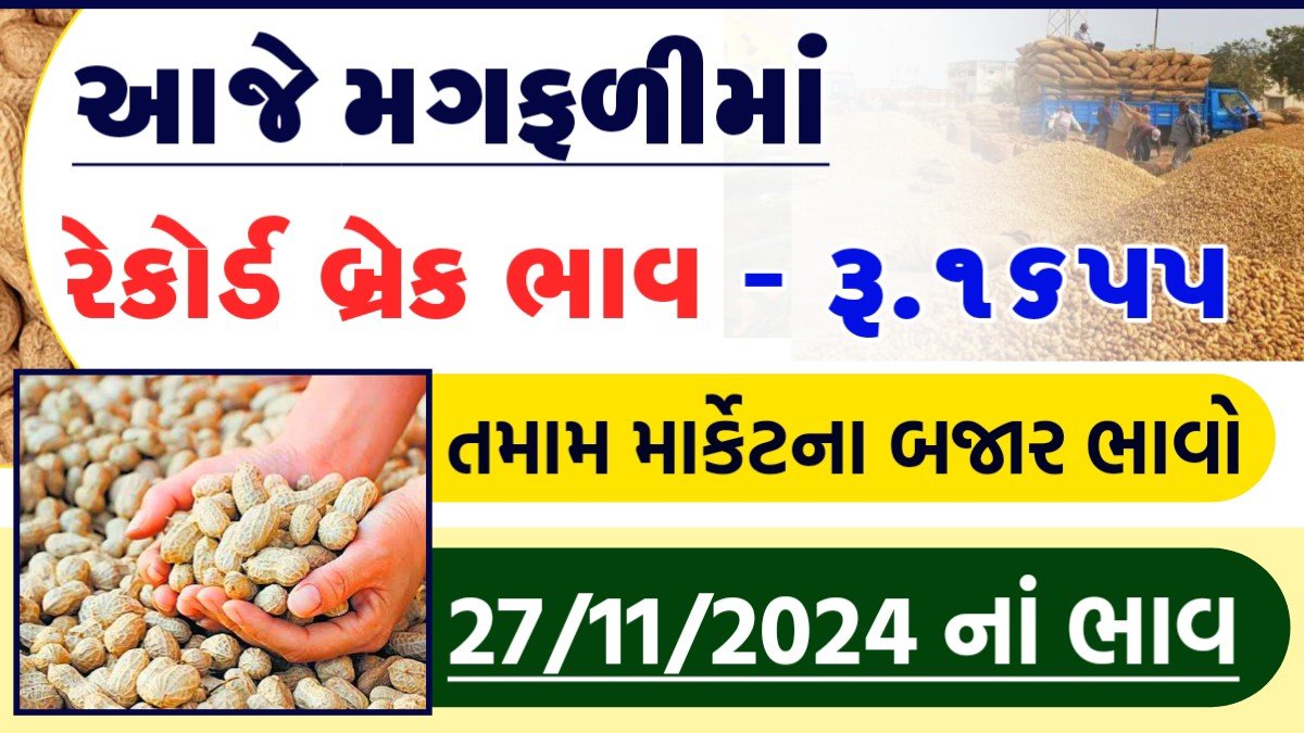 મગફળી ના ભાવ 2024