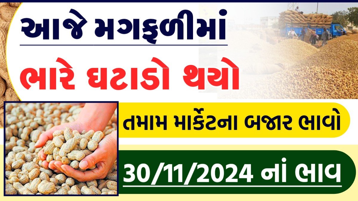 મગફળી ટેકાના ભાવ 2024