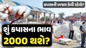 us cotton vaydo : યુએસ કપાસ વાયદો