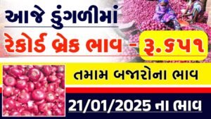 onion price per kg