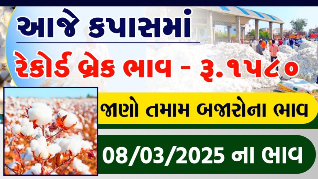 કપાસ